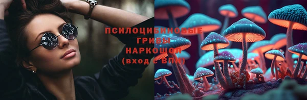 сатива Гусев