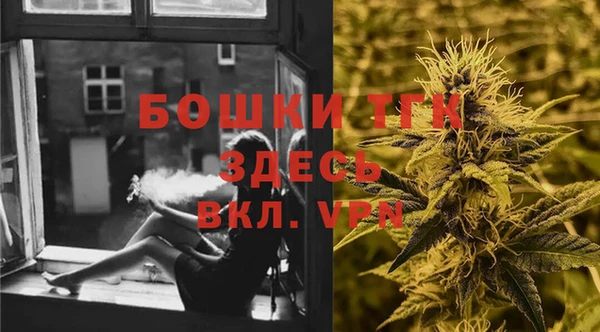 крисы Елабуга