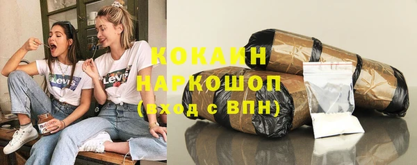 сатива Гусев