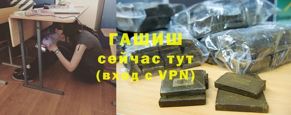 сатива Гусев