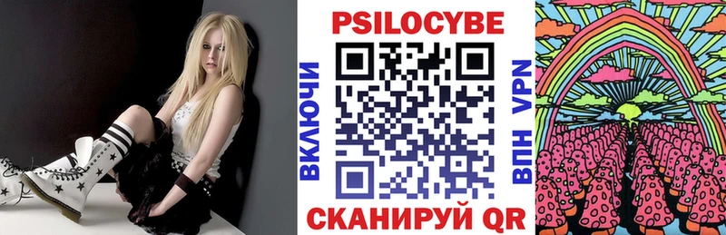 купить закладку  Ермолино  Псилоцибиновые грибы Magic Shrooms 